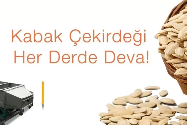 Kabak Çekirdeği Her Derde Deva !